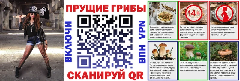 Галлюциногенные грибы ЛСД  Купить  Грязи 